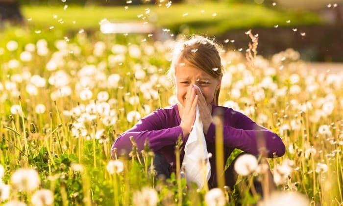 Seasonal Allergies Symptoms: Simple Things To Do To Avoid Them