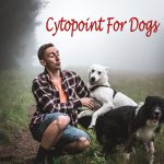Cytopoint For Dogs