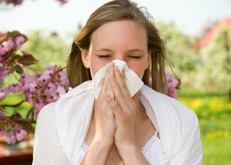 Seasonal Allergies, Myths and Facts You Should Know About