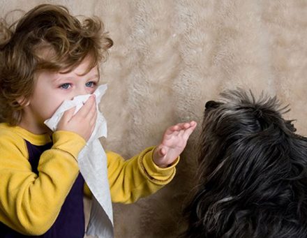 Pets Allergy [Symptoms,Causes,Treatment , and Tips To Avoid It]