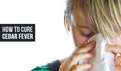 How Cedar Fever differ from common fever | Symptoms & Treatments