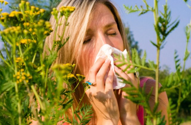 Tips to fight against pollen allergies