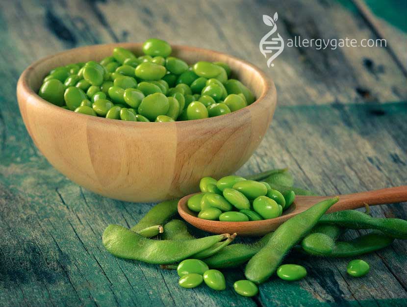 soy allergy