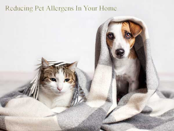 Pet Allergens