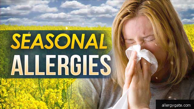 12 Tips For Managing Seasonal Allergies
