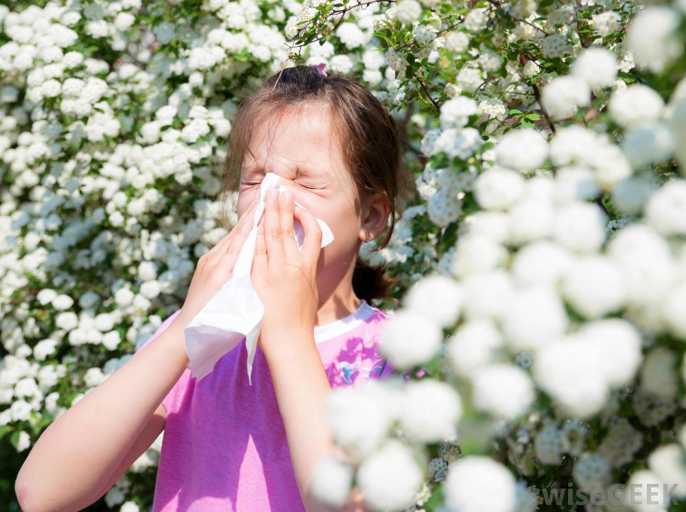 Allergy Desensitization – An Evolving And Effective Treatment