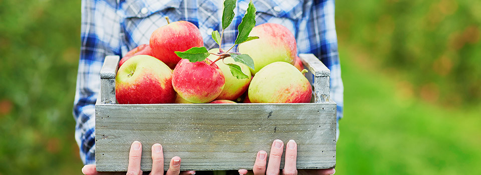 What Is a Cross-Allergy? Pollen-Food Reactions Explained