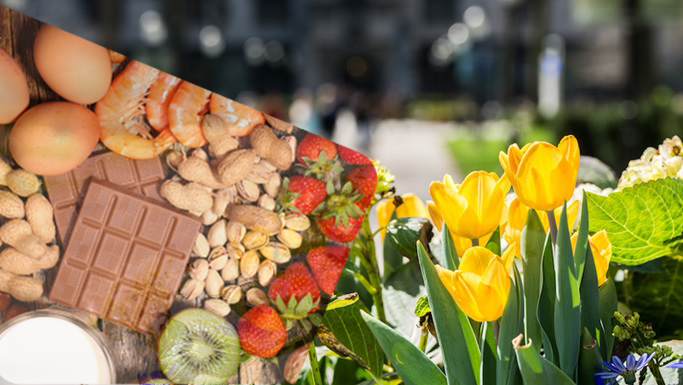 Food Allergies in Spring: What You Need to Know